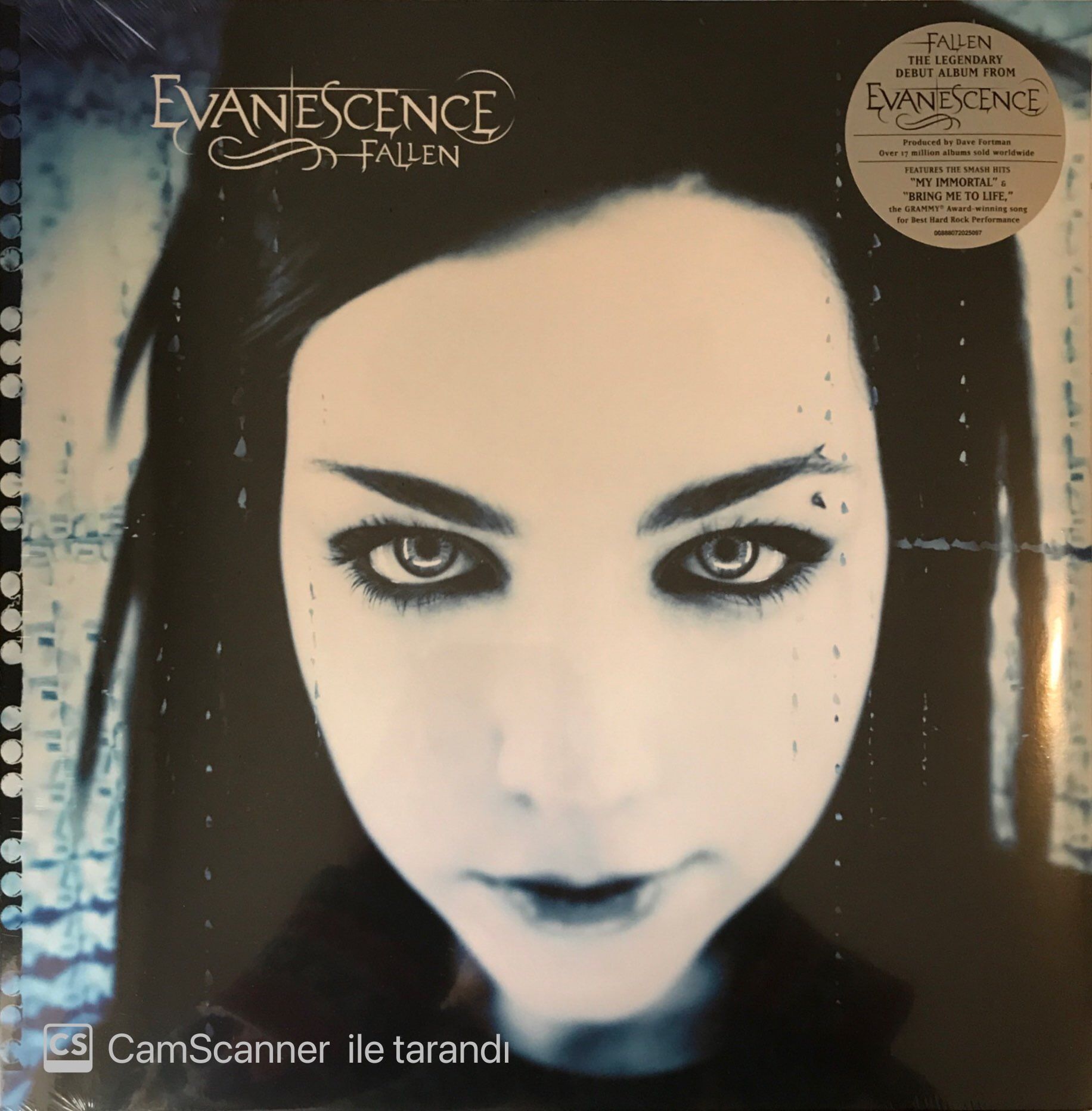 Evanescence Fallen LP