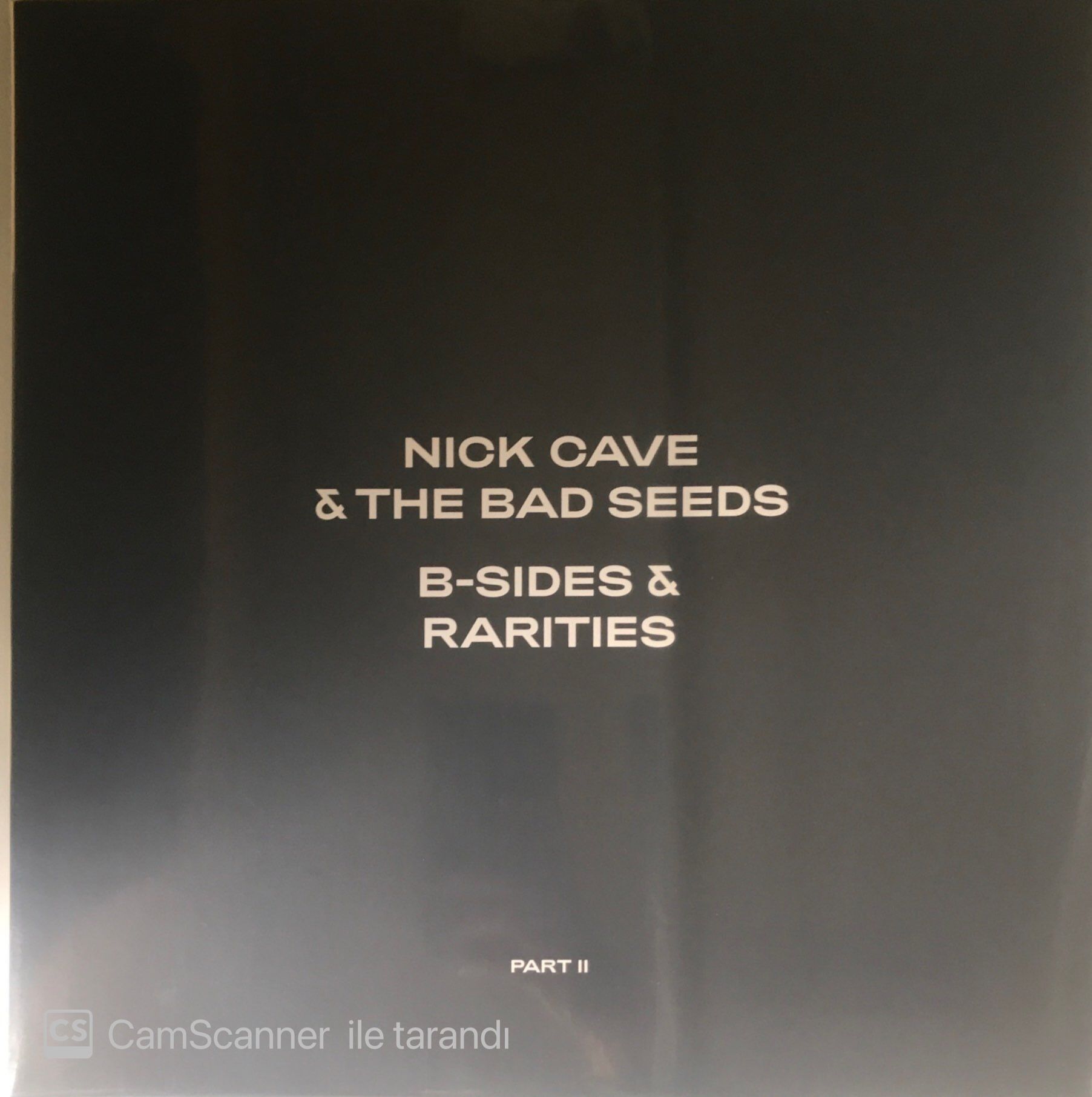 Nick Cave and The Bad Seeds B-Sides & Rarities Double LP