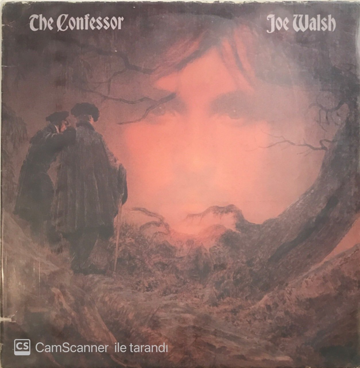 Joe Walsh The Confessor LP