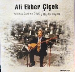 Ali Ekber Çiçek Yolumuz Gurbete Düştü LP