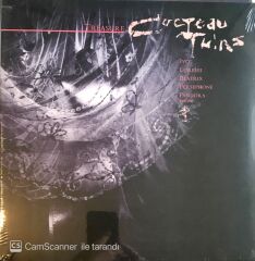 Cocteau Twins Treasure LP