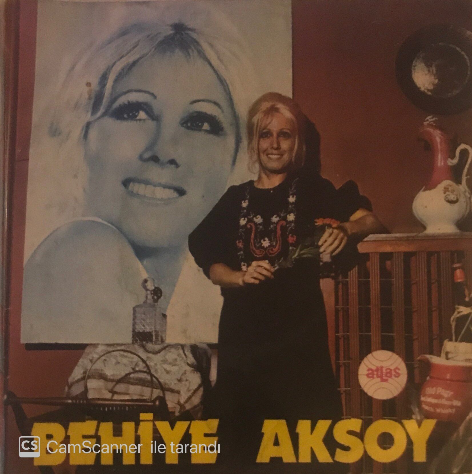 Behiye Aksoy O Ağacın Altı 45lik