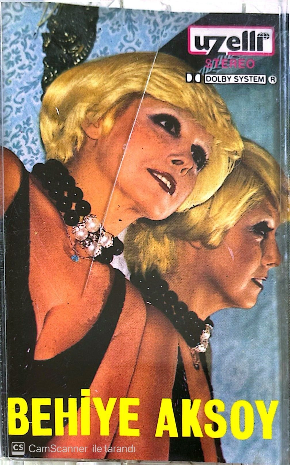 Behiye Aksoy KASET