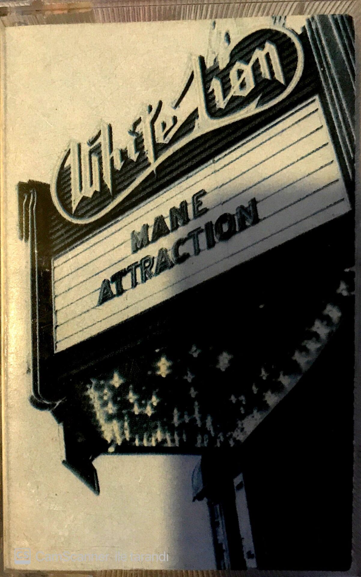 White Lion - Mane Attraction KASET