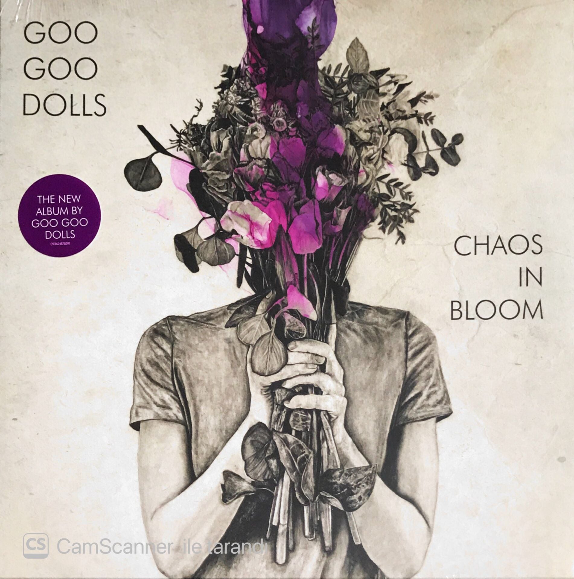 Goo Goo Dolls - Chaos In Bloom - LP
