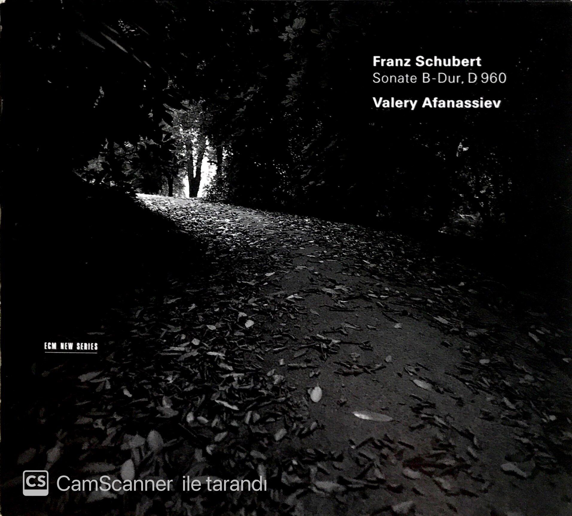 Schubert / Valery Afanassiev - Sonate b-Dur, D 960 CD