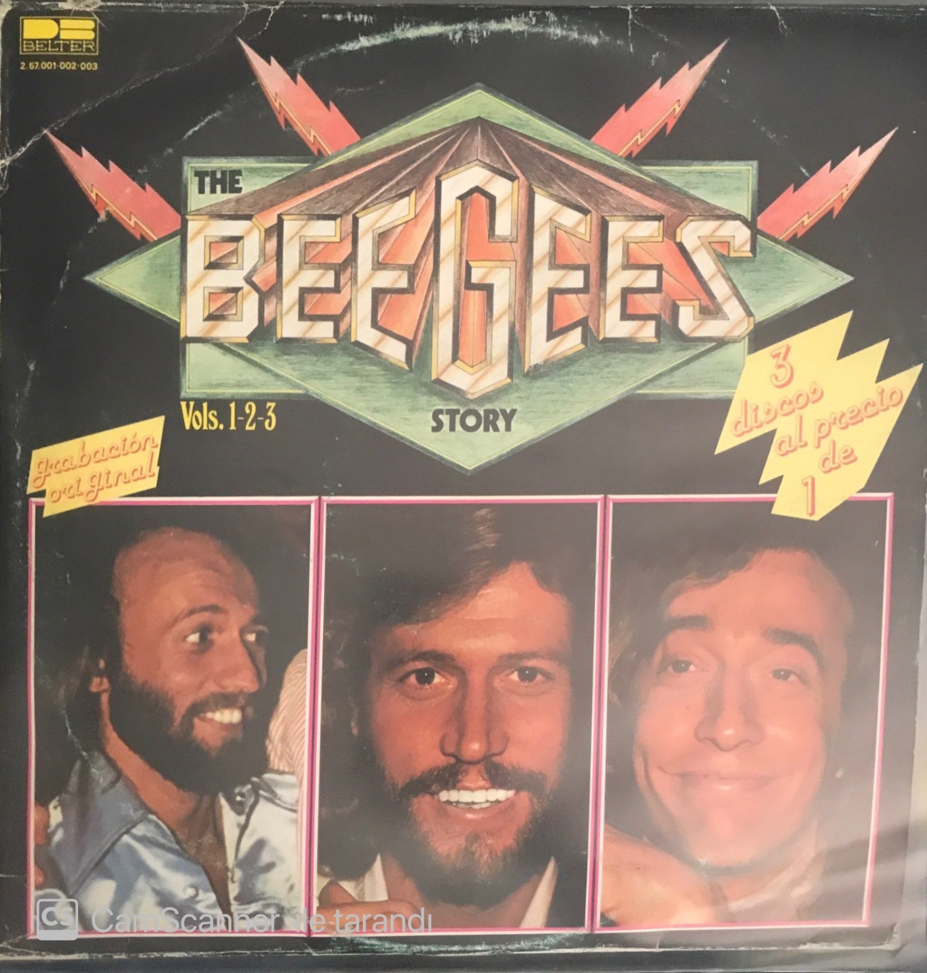 The Bee Gees Story 3 LP