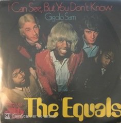 The Equals I Can See But You Don't Know 45lik