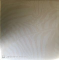 Beach House Teen Dream Double LP