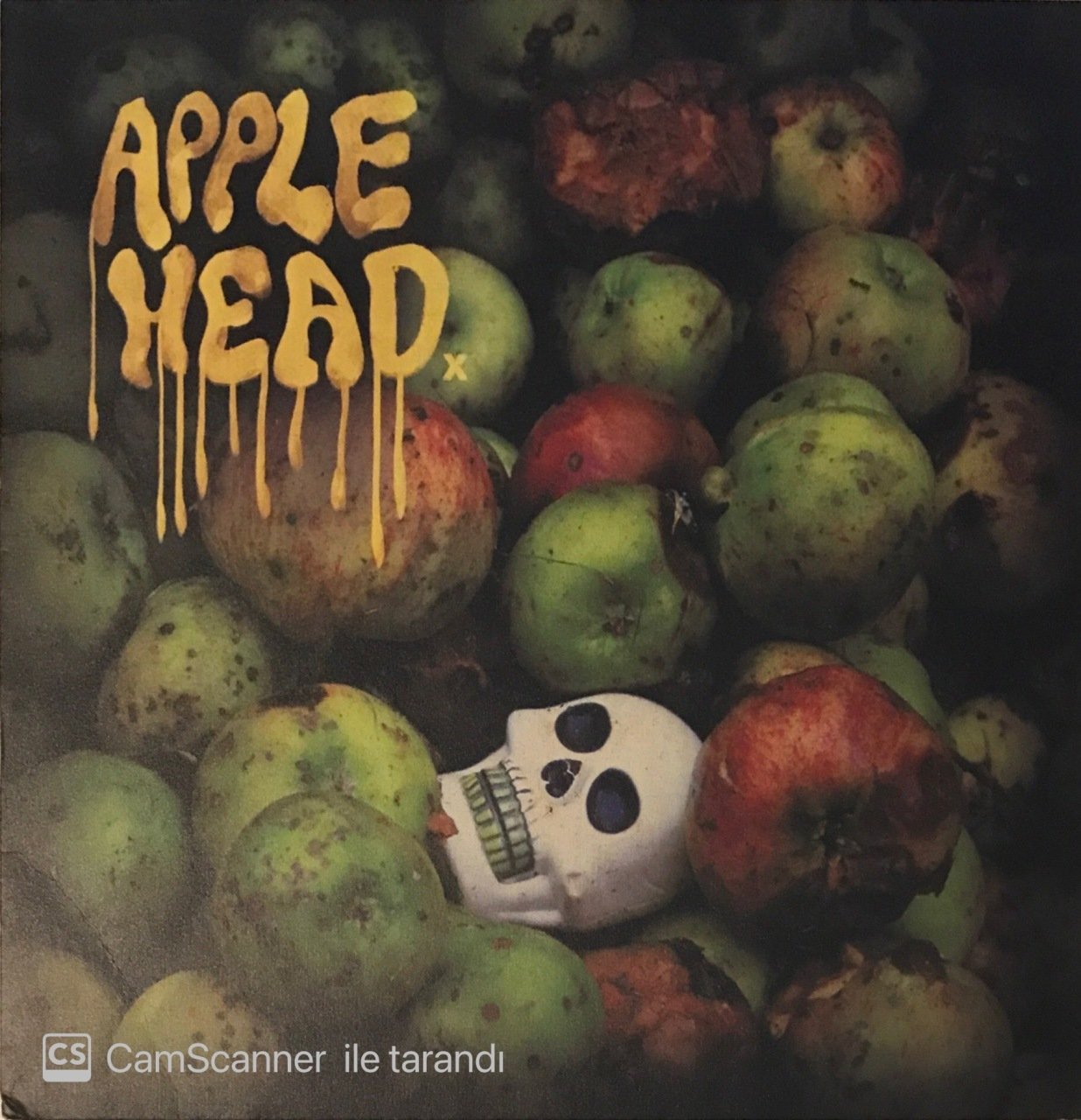 Apple Head LP