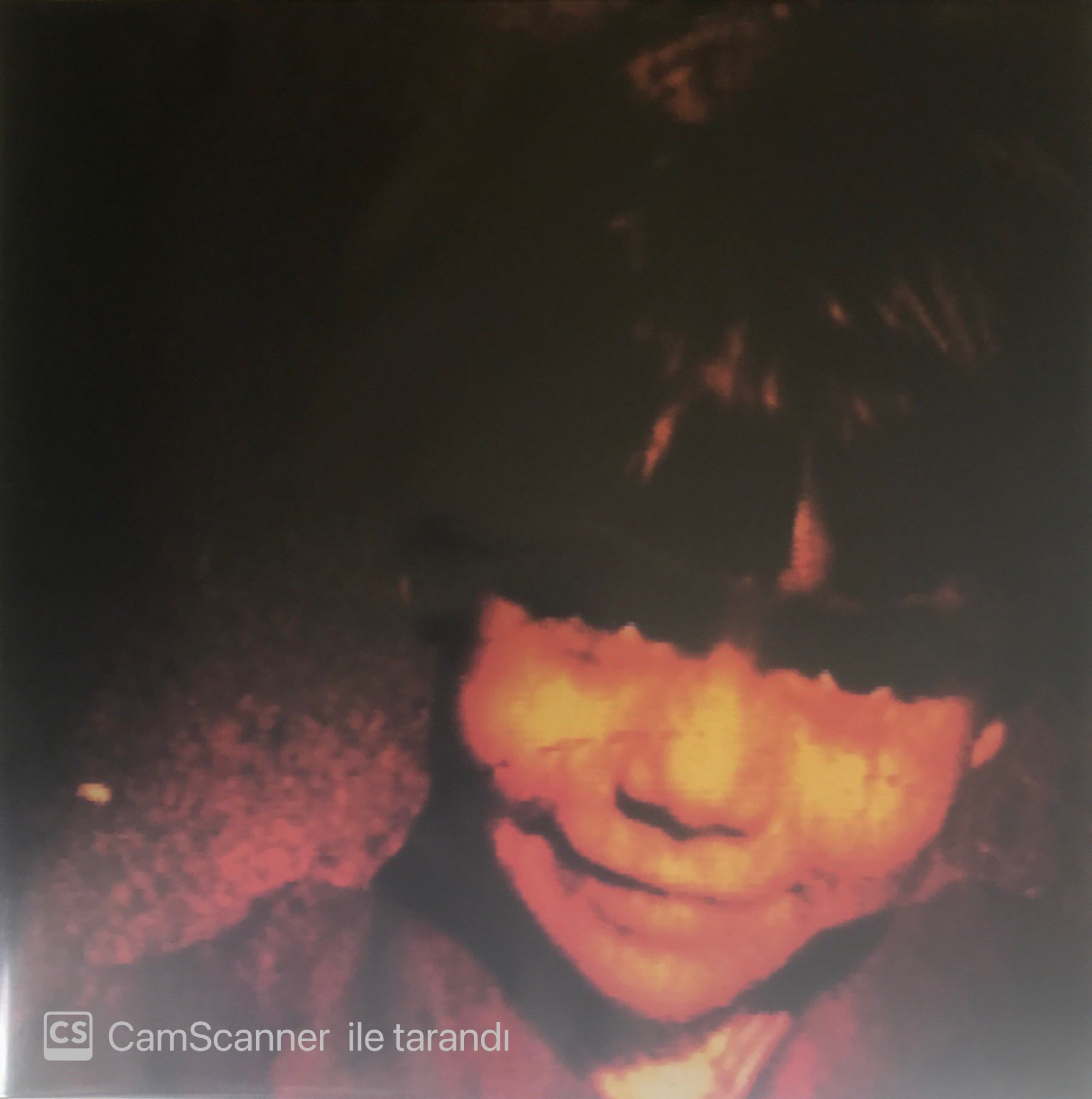Yann Tiersen Cascade Street Double LP
