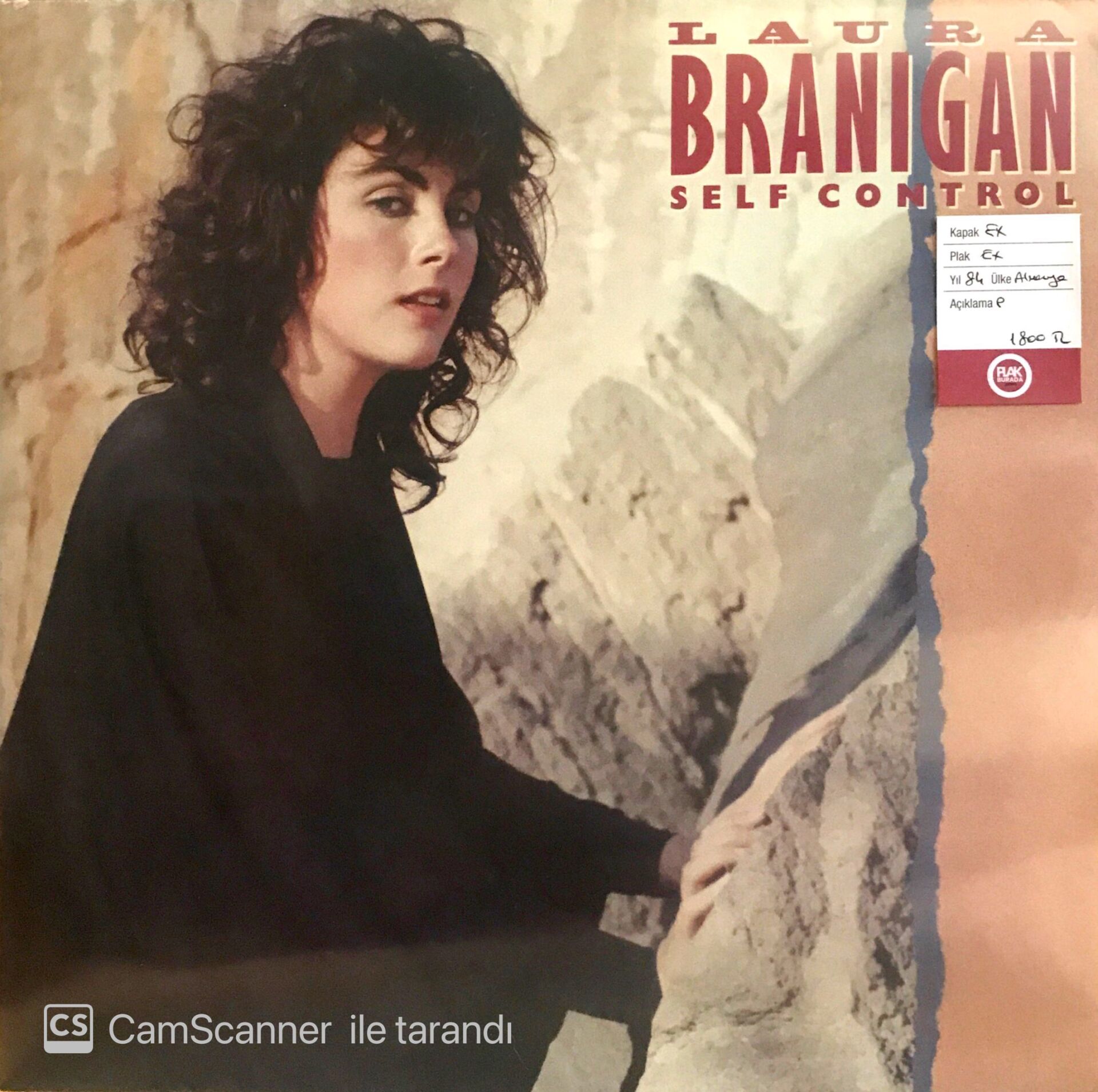 Laura Branigan - Self Control LP