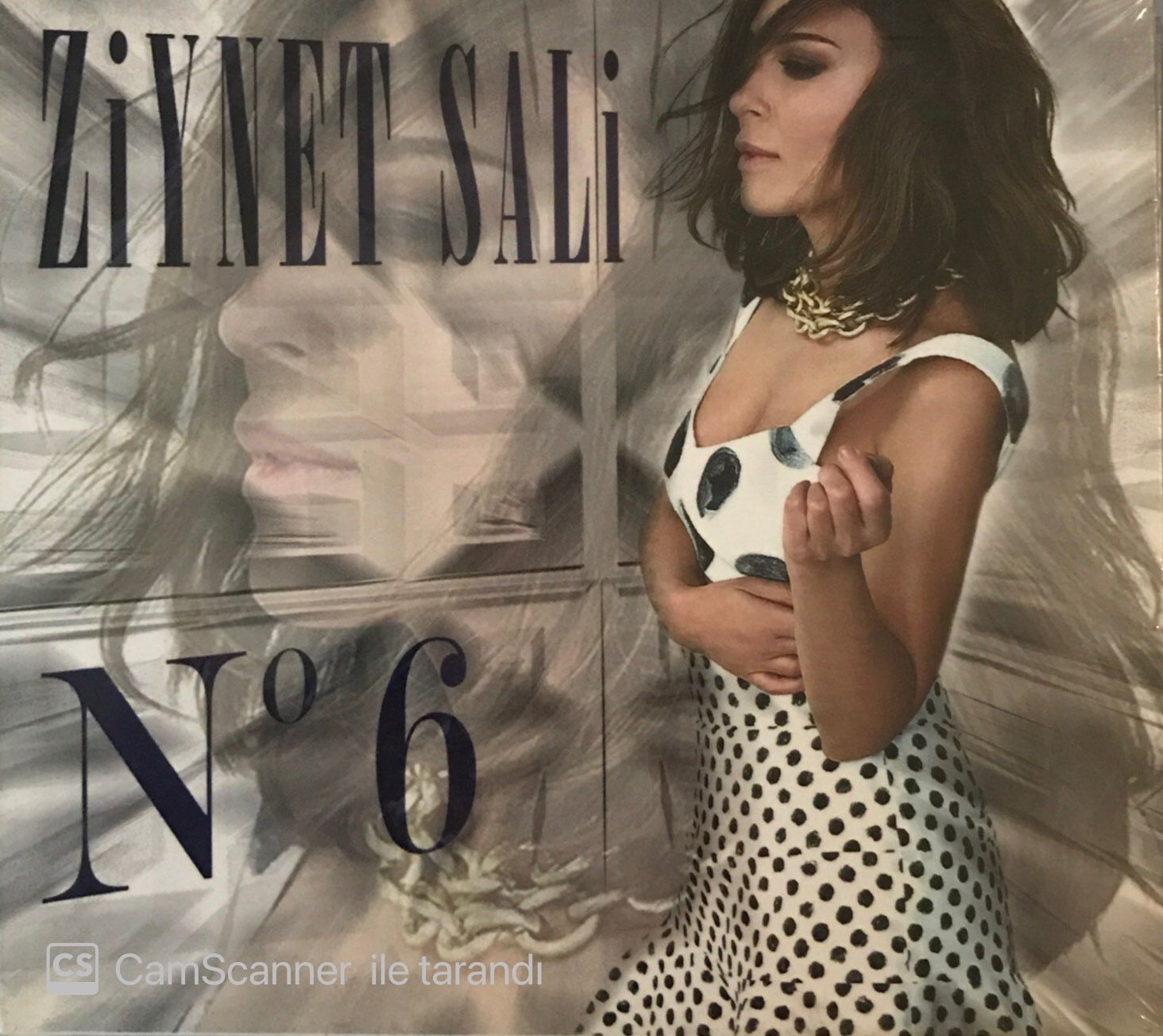 Ziynet Sali - No 6 CD