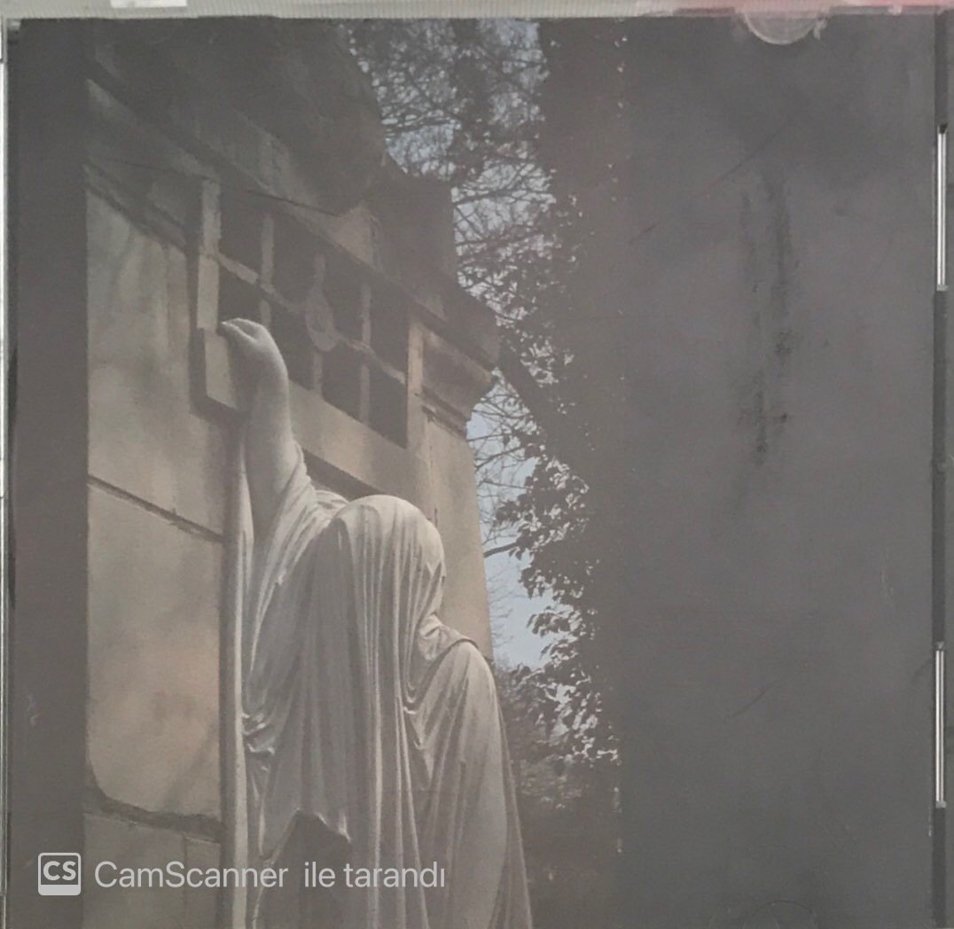 Dead Can Dance Within The Realm Of Dying Sun CD