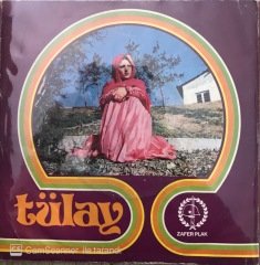 Tülay Gerçek Seven Kıskanır 45lik