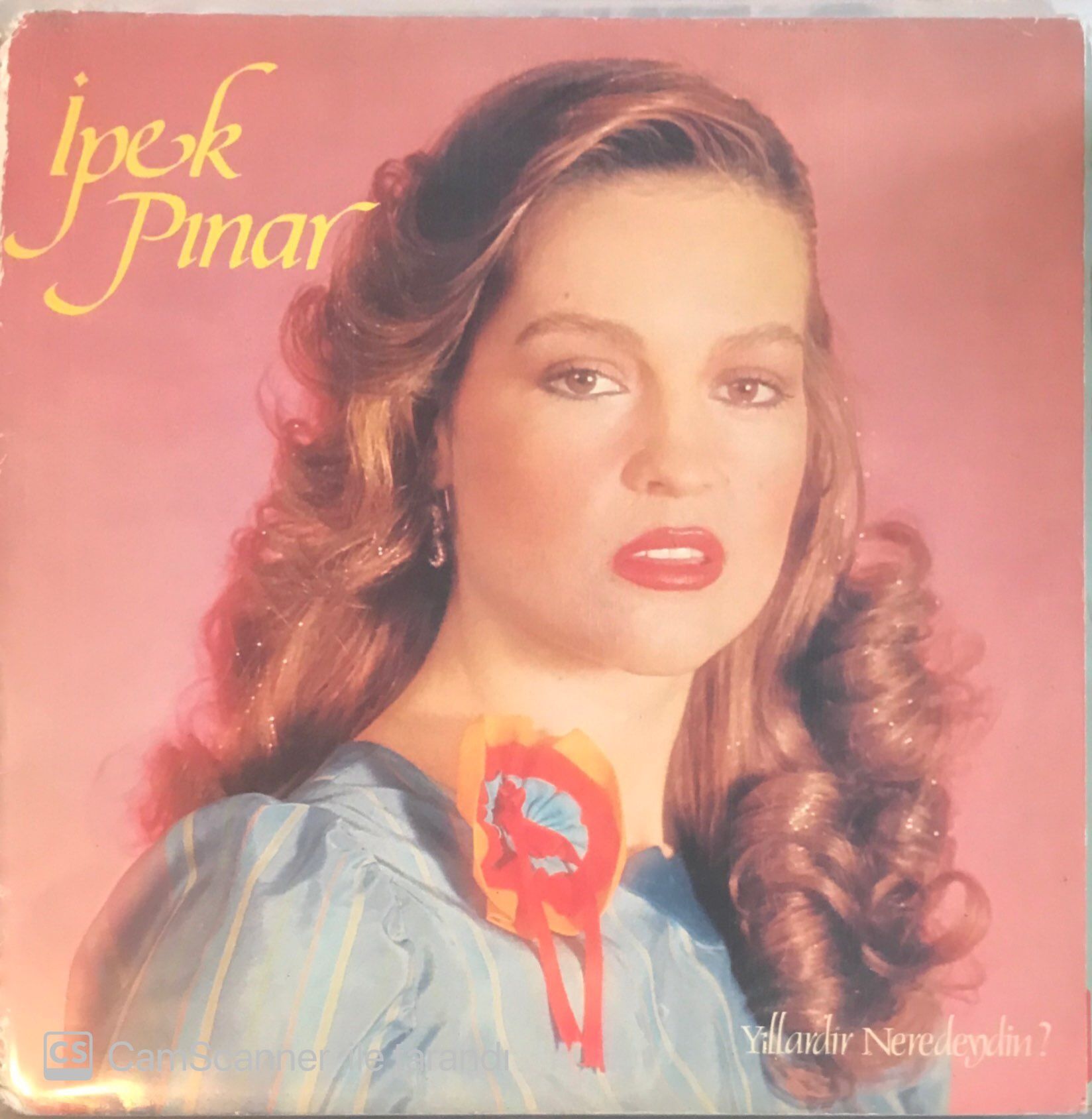 İpek Pınar - Yıllardır Neredeydin LP