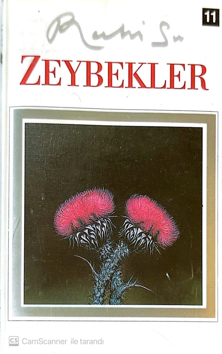 Ruhi Su - Zeybekler KASET