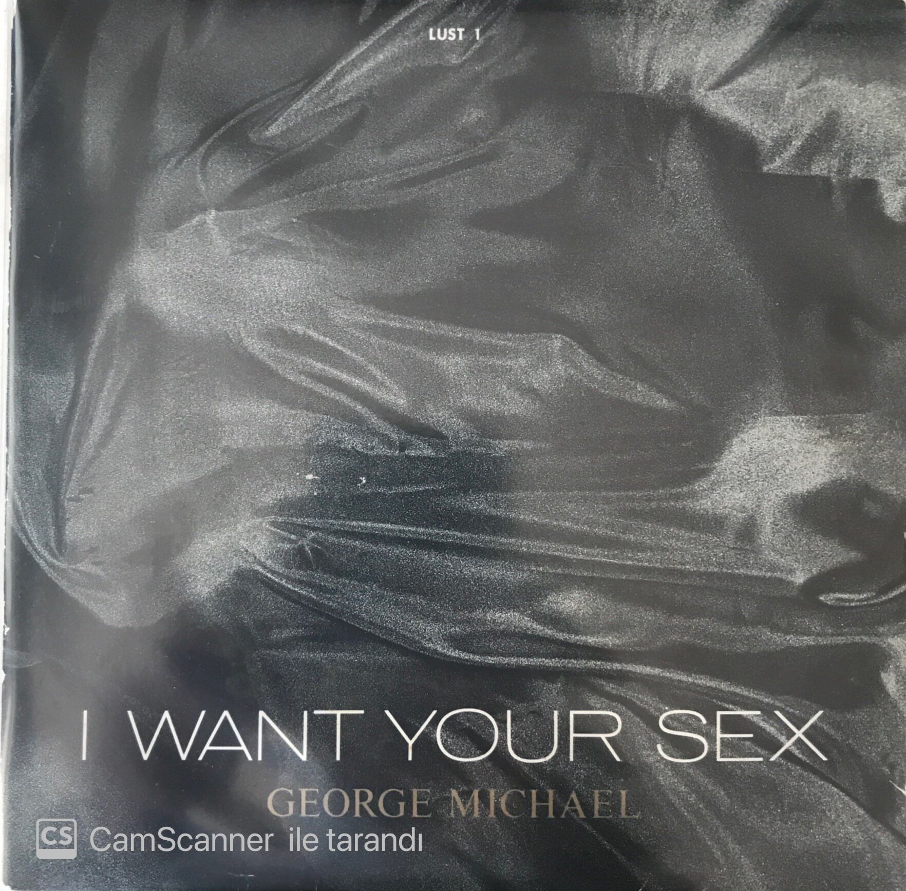 George Michael I Want Your Sex 45lik