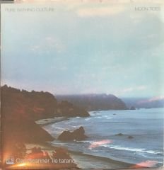 Pure Bathing Culture - Moon Tides LP