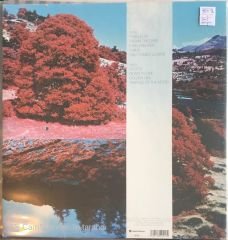 Pure Bathing Culture - Moon Tides LP