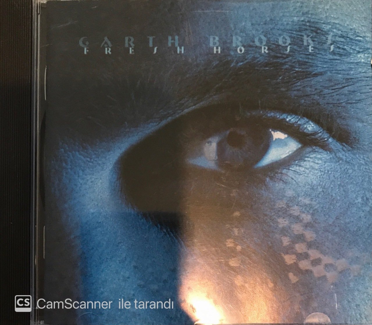 Garth Brooks Fresh Horses CD