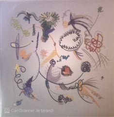 Berk İcli Glimpses of an Eternal Bloom LP