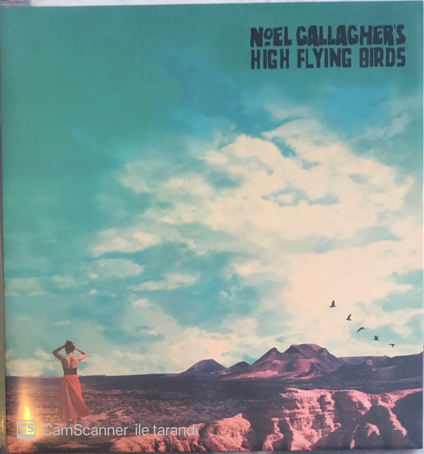 Noel Gallagher's High Flying Birds – Who Built The Moon? LP