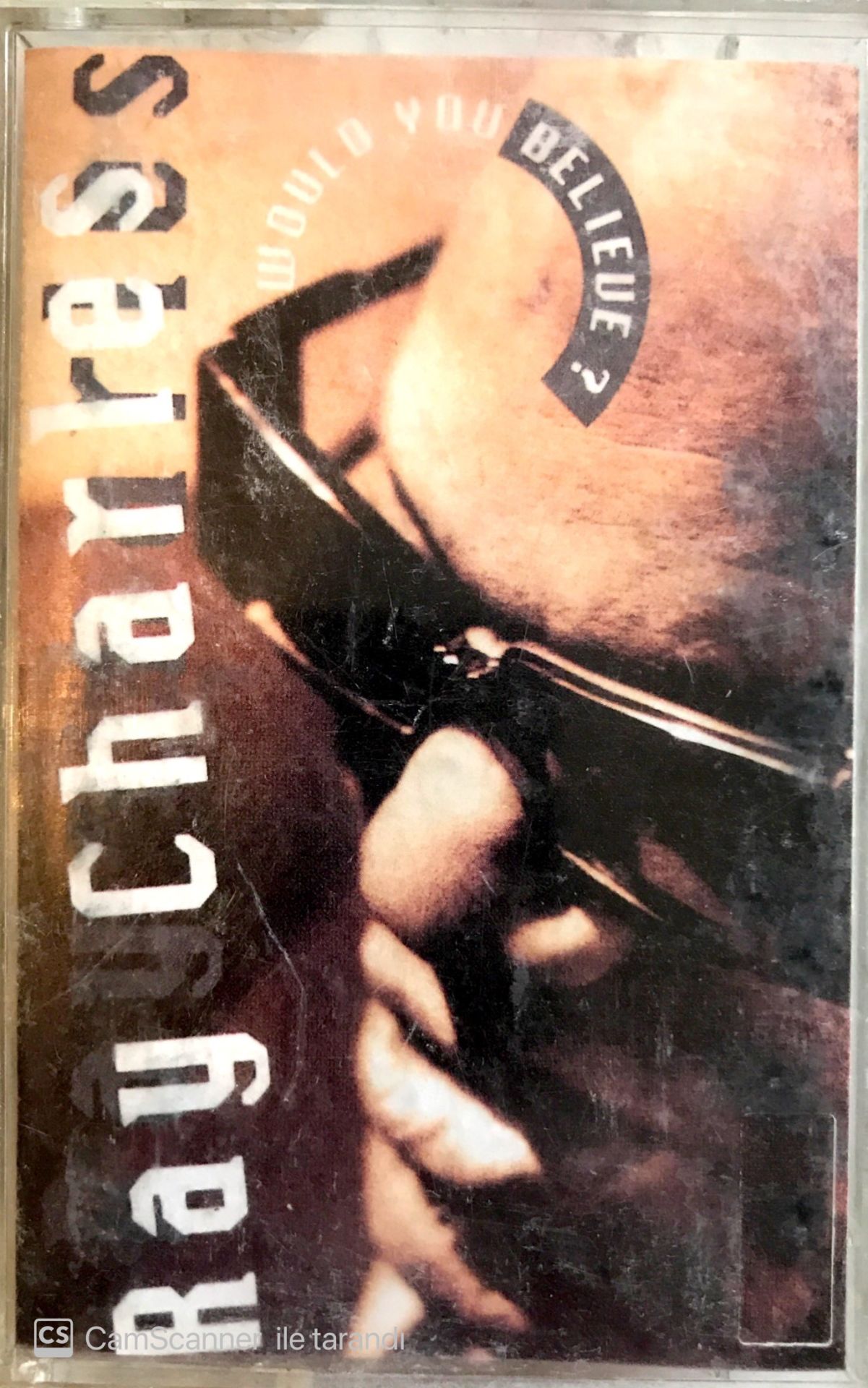 Ray Charles / Would You Believe? Kaset