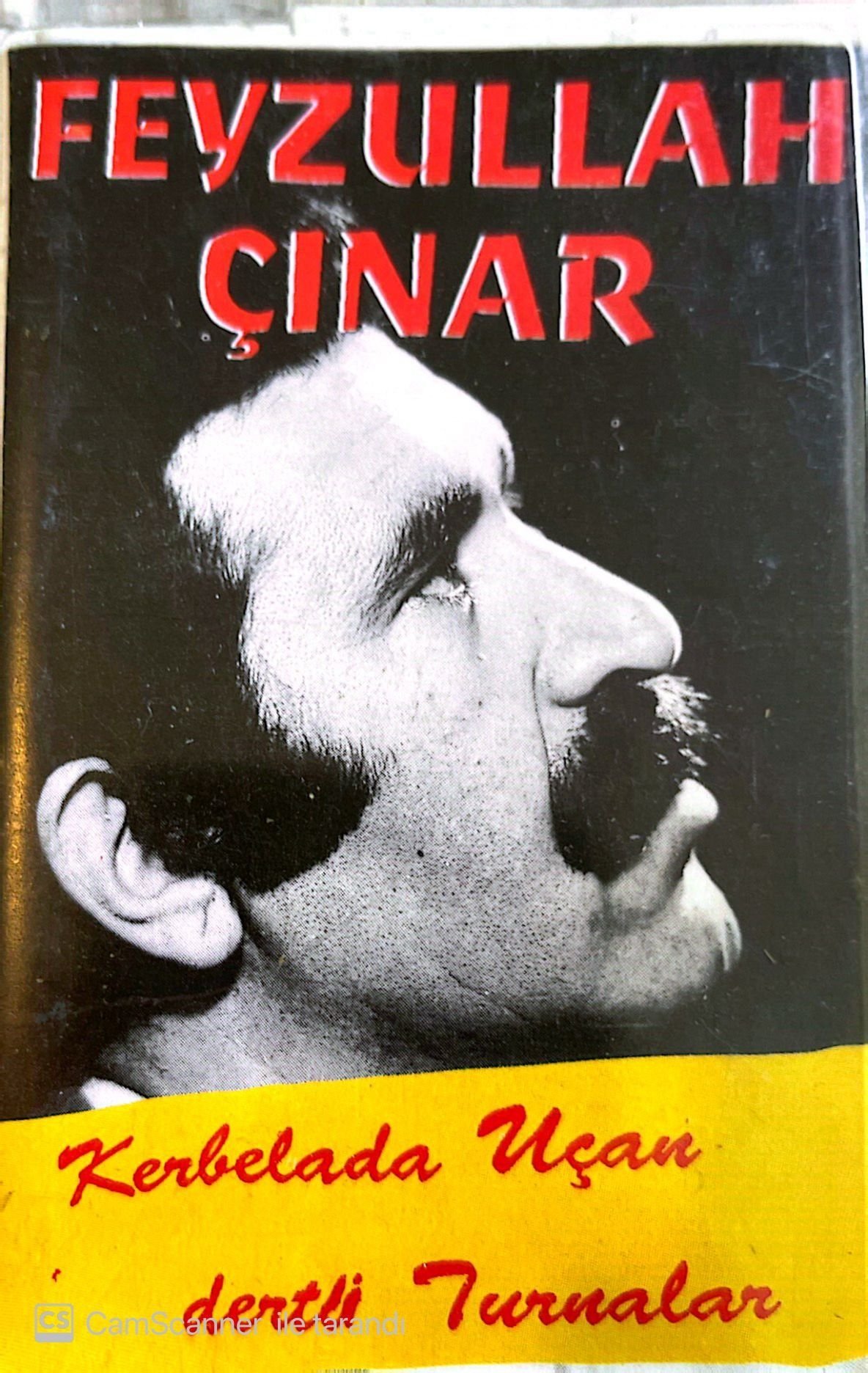Feyzullah Çınar - Kerbelada Uçan Dertli Turnalar KASET