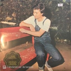 Şeracettin Erman Tahta Masa LP