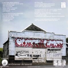 Neutrals New Town Dream (Color Vinyl) LP