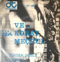 Erkin Koray Meçhul 45lik