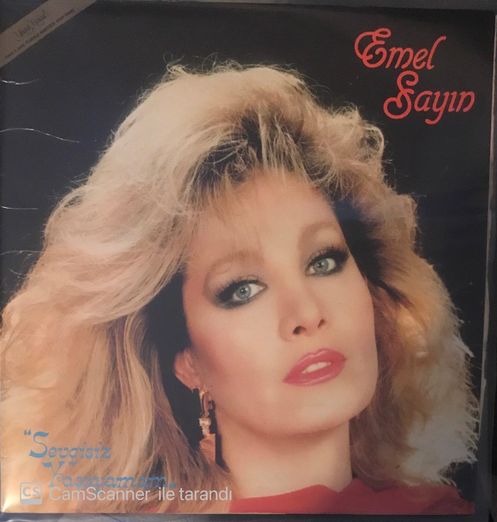 Emel Sayın Sevgisiz Yaşayamam LP