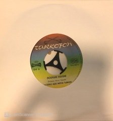 Kayserili Aşık Metin Türköz Bodrum Hakimi 45lik