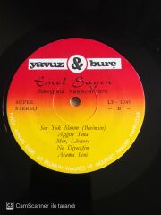 Emel Sayın - Sevgisiz Yaşayamam - LP