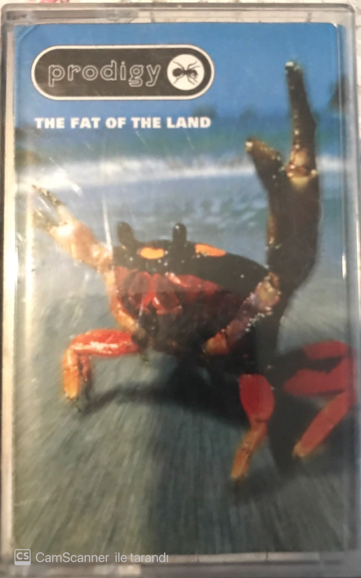 Prodigy - Tha Fat Of The Land KASET