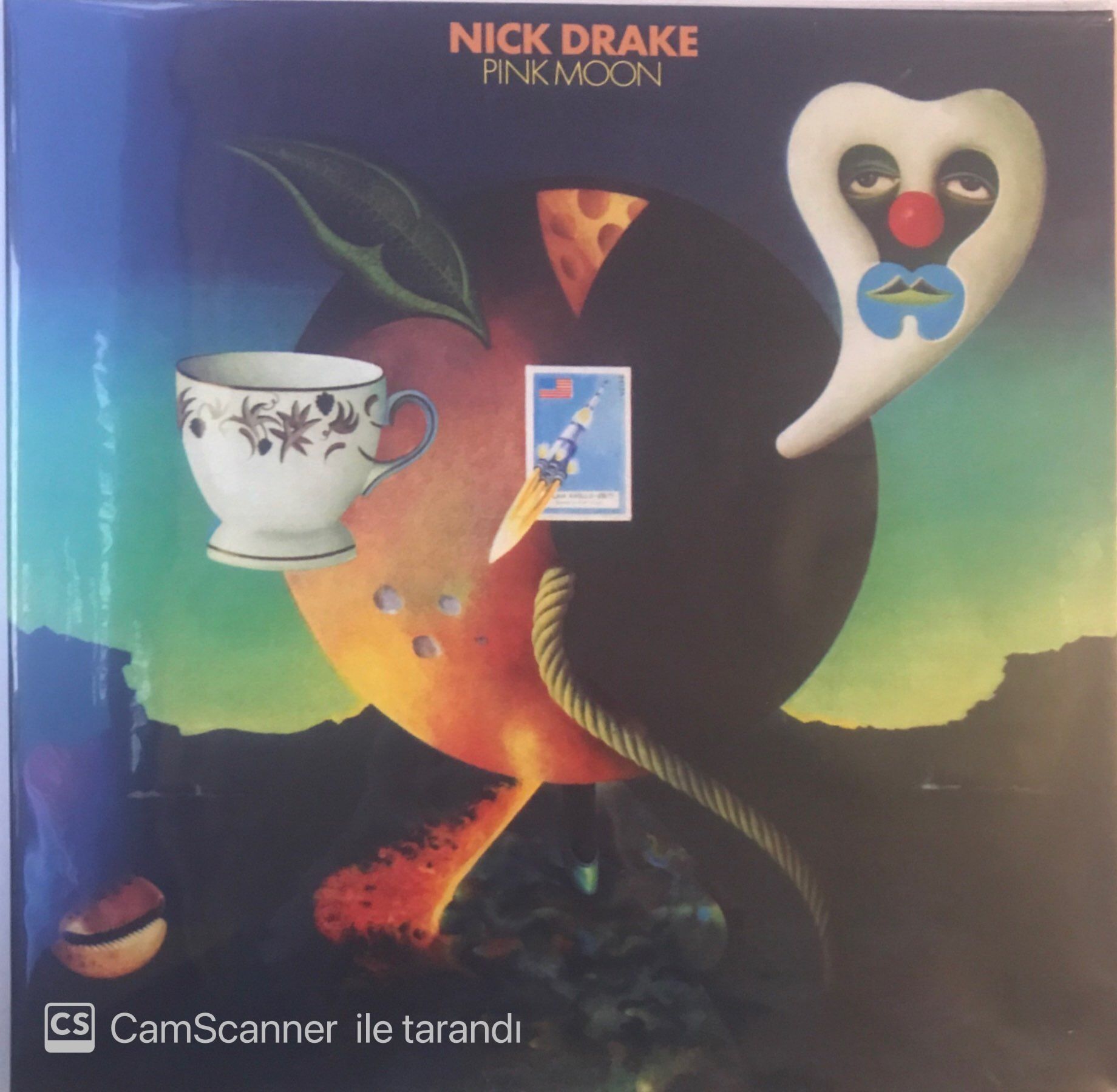 Nick Drake Pink Moon LP