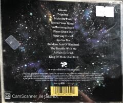 Robbie Williams - Intensive Care CD
