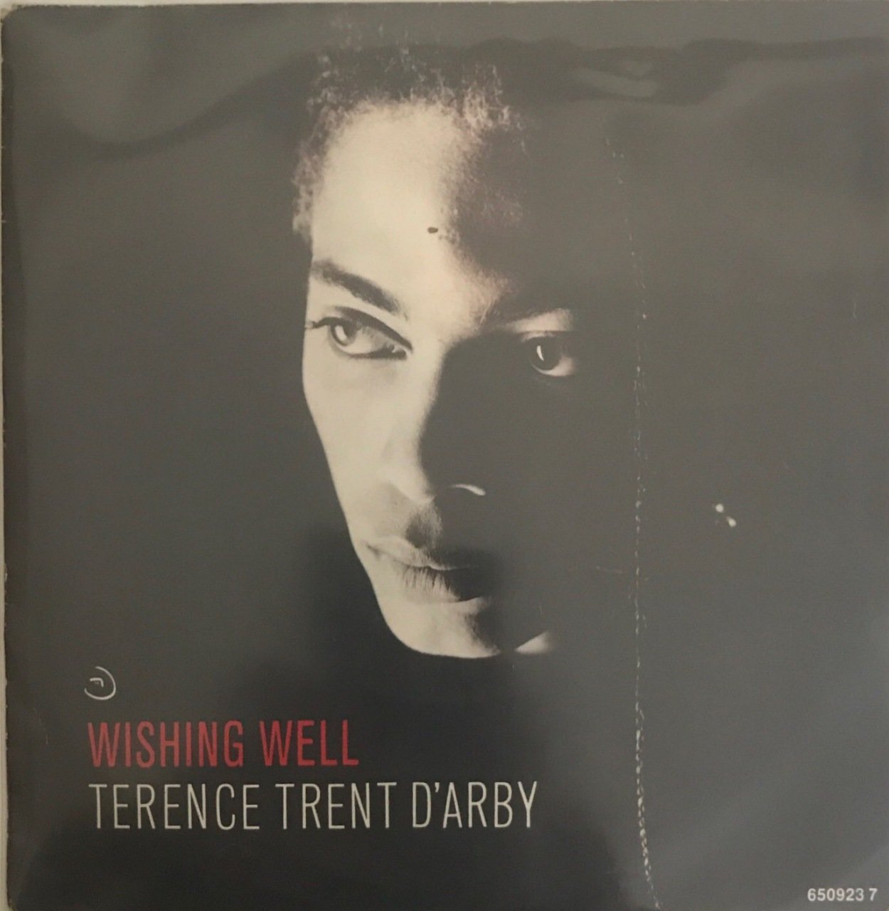 Terence Trent D'arby Wishing Well 45lik