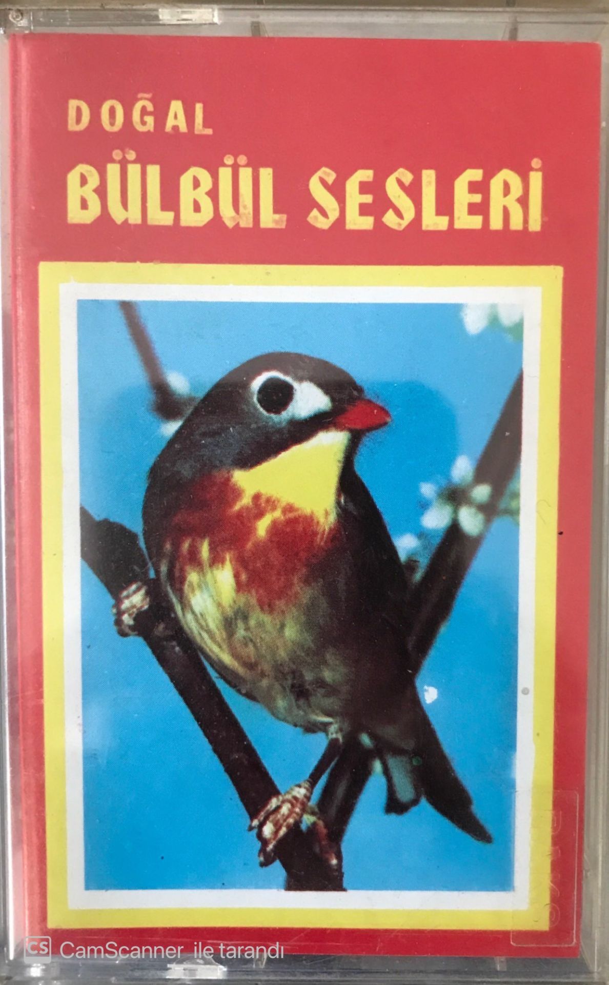 Doğal Bülbül Sesleri KASET