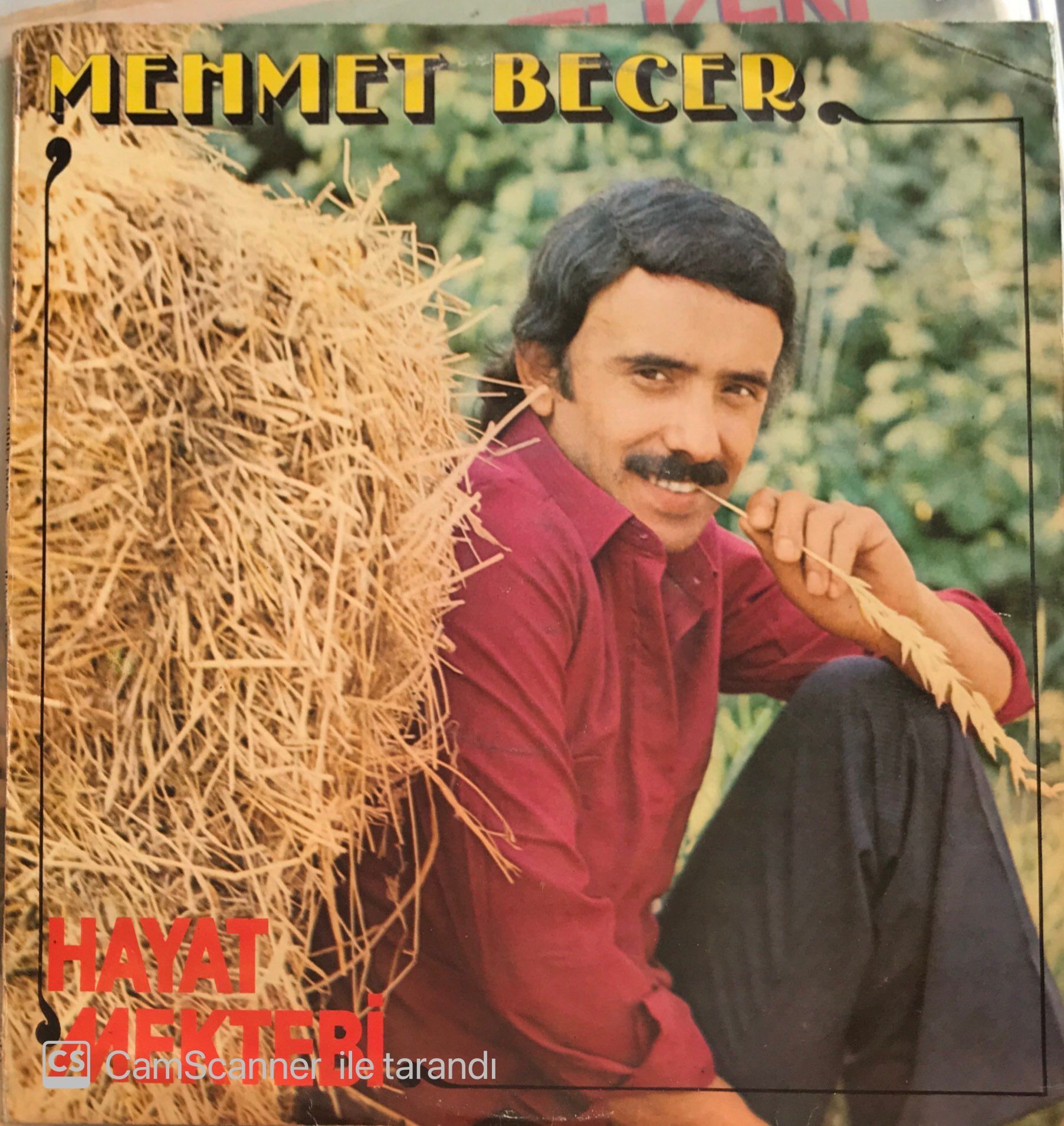 Mehmet Becer - Hayat Mektebi LP