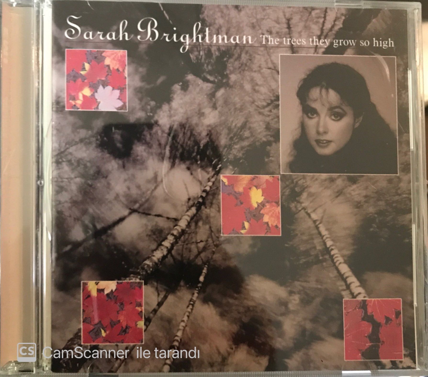 Sarah Brightman - The Trees They Grow So Hıgh CD
