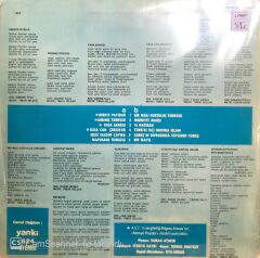 Timur Selçuk Nereye Payidar LP