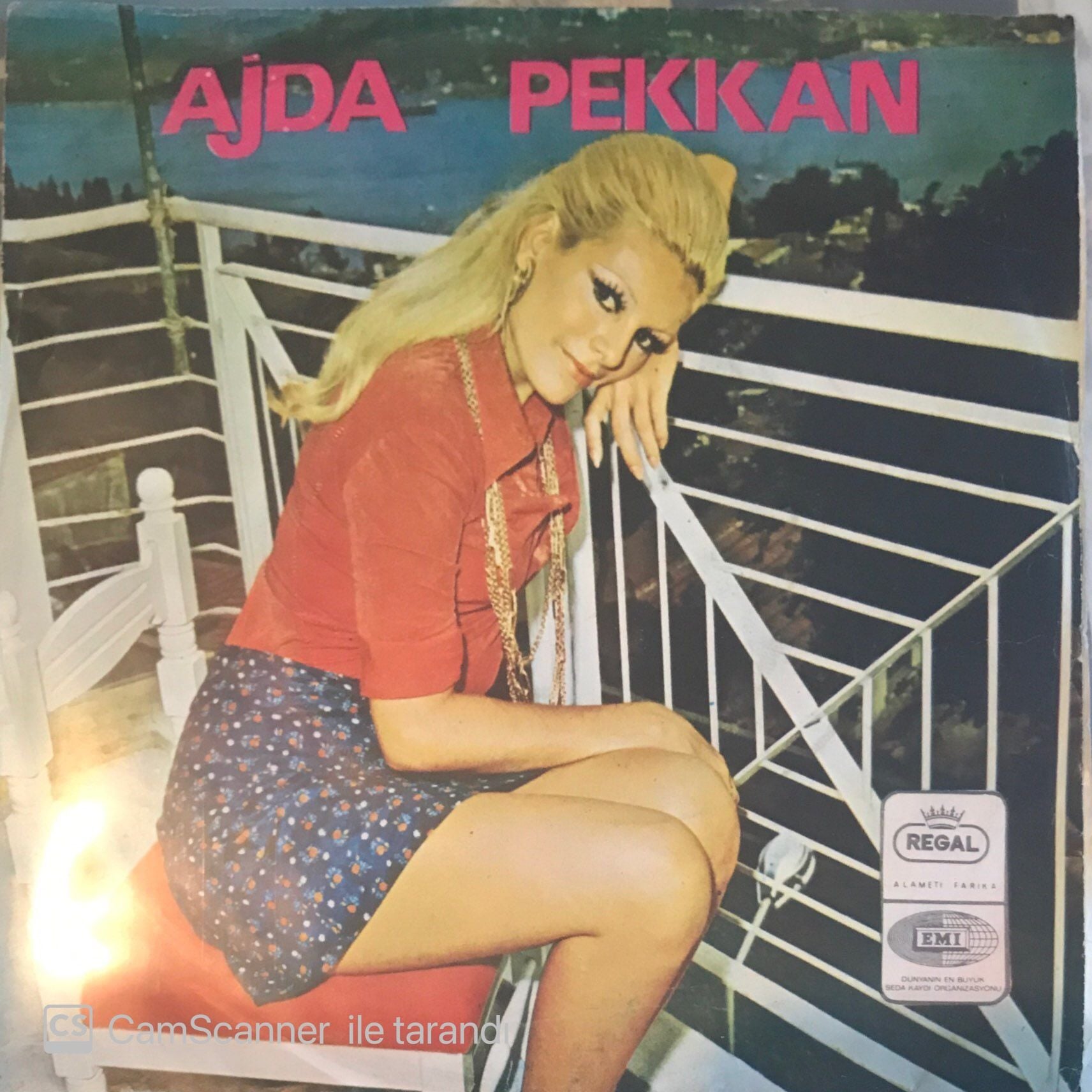 Ajda Pekkan - Son Arzu 45lik