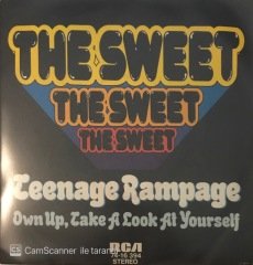 The Sweet Teenage Rampage 45lik