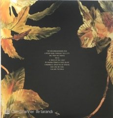 Esmerine Lost Voices LP