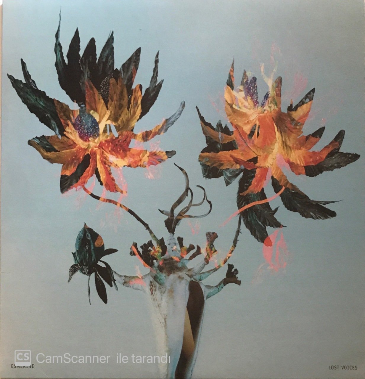 Esmerine Lost Voices LP