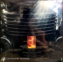 Al Stewart / Modern Times LP