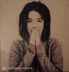 Björk Debut LP