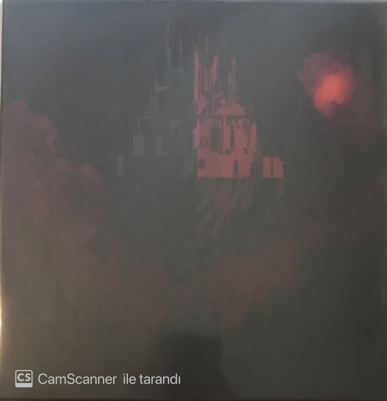 Dark Forest Leather Frank LP